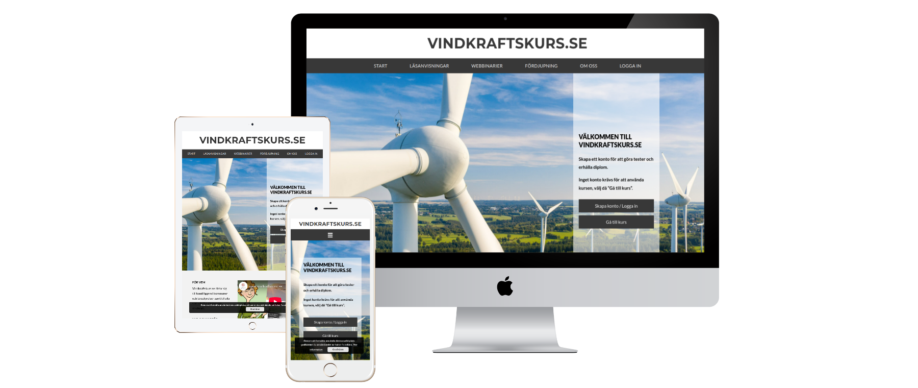 vindkraftskurs